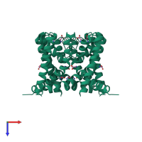 Homo tetrameric assembly 3 of PDB entry 4r50 coloured by chemically distinct molecules, top view.