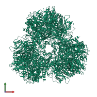 Homo dodecameric assembly 1 of PDB entry 4r8f coloured by chemically distinct molecules, front view.