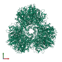 Vacuolar aminopeptidase 1 in PDB entry 4r8f, assembly 1, front view.