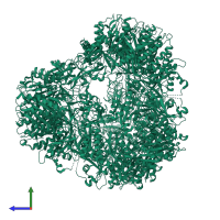 Vacuolar aminopeptidase 1 in PDB entry 4r8f, assembly 1, side view.