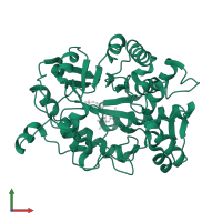NADPH dehydrogenase 1 in PDB entry 4rnv, assembly 1, front view.