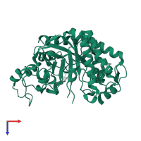 NADPH dehydrogenase 1 in PDB entry 4rnv, assembly 1, top view.
