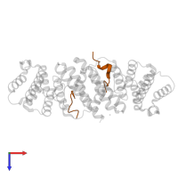 Telomeric repeat-binding factor 2-interacting protein 1 in PDB entry 4rqi, assembly 2, top view.