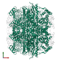 Ribulose bisphosphate carboxylase large chain in PDB entry 4rub, assembly 1, front view.