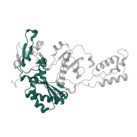 The deposited structure of PDB entry 4rw8 contains 1 copy of Pfam domain PF00078 (Reverse transcriptase (RNA-dependent DNA polymerase)) in p51 RT. Showing 1 copy in chain B.