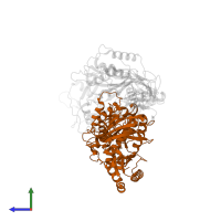 p51 RT in PDB entry 4rw8, assembly 1, side view.