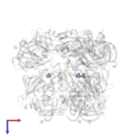 SULFATE ION in PDB entry 4ryc, assembly 3, top view.