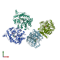 PDB entry 4tmc coloured by chain, front view.