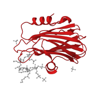 The deposited structure of PDB entry 4tso contains 2 copies of CATH domain 2.60.270.20 (Mutm (Fpg) Protein; Chain: A, domain 2) in DELTA-actitoxin-Afr1a. Showing 1 copy in chain A.