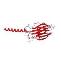 The deposited structure of PDB entry 4tsy contains 4 copies of CATH domain 2.60.270.20 (Mutm (Fpg) Protein; Chain: A, domain 2) in DELTA-actitoxin-Afr1a. Showing 1 copy in chain A.