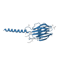 The deposited structure of PDB entry 4tsy contains 4 copies of Pfam domain PF06369 (Sea anemone cytotoxic protein) in DELTA-actitoxin-Afr1a. Showing 1 copy in chain A.