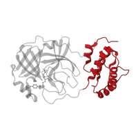 The deposited structure of PDB entry 4twy contains 1 copy of CATH domain 1.10.1840.10 (main proteinase (3clpro) structure, domain 3) in 3C-like proteinase nsp5. Showing 1 copy in chain A.