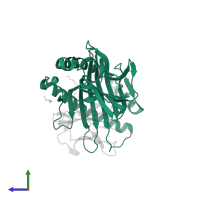 HLA class I histocompatibility antigen, B alpha chain in PDB entry 4u1l, assembly 1, side view.