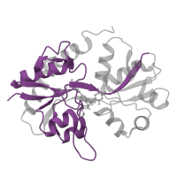 The deposited structure of PDB entry 4u23 contains 1 copy of Pfam domain PF10613 (Ligated ion channel L-glutamate- and glycine-binding site) in Glutamate receptor 2. Showing 1 copy in chain A.