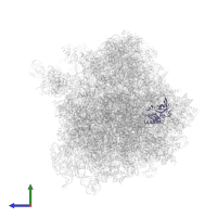 Small ribosomal subunit protein eS1A in PDB entry 4u4r, assembly 2, side view.