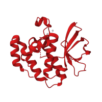 The deposited structure of PDB entry 4u65 contains 2 copies of CATH domain 3.10.620.30 (C8orf32 fold) in Putative cystine protease. Showing 1 copy in chain E.