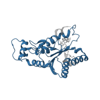 The deposited structure of PDB entry 4u7g contains 2 copies of Pfam domain PF02525 (Flavodoxin-like fold) in Ribosyldihydronicotinamide dehydrogenase [quinone]. Showing 1 copy in chain A.