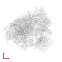 Small ribosomal subunit protein eS28 in PDB entry 4ug0, assembly 1, front view.