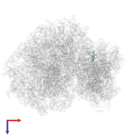 Small ribosomal subunit protein eS28 in PDB entry 4ug0, assembly 1, top view.