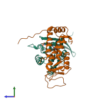 Hetero dimeric assembly 1 of PDB entry 4uj5 coloured by chemically distinct molecules, side view.