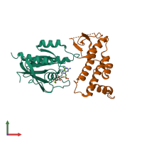 Hetero dimeric assembly 2 of PDB entry 4uj5 coloured by chemically distinct molecules, front view.