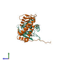 Hetero dimeric assembly 2 of PDB entry 4uj5 coloured by chemically distinct molecules, side view.