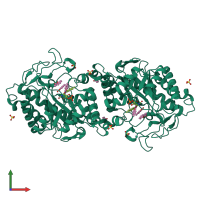 Homo dimeric assembly 1 of PDB entry 4utl coloured by chemically distinct molecules, front view.