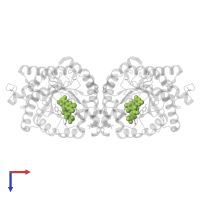 1-DEOXY-1-(7,8-DIMETHYL-2,4-DIOXO-3,4-DIHYDRO-2H-BENZO[G]PTERIDIN-1-ID-10(5H)-YL)-5-O-PHOSPHONATO-D-RIBITOL in PDB entry 4utl, assembly 1, top view.