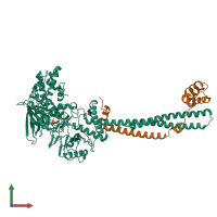 PDB entry 4uva coloured by chain, front view.