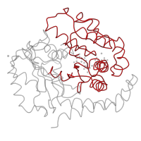 The deposited structure of PDB entry 4uy0 contains 1 copy of Pfam domain PF00091 (Tubulin/FtsZ family, GTPase domain) in Tubulin alpha-1B chain. Showing 1 copy in chain A.