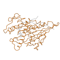 The deposited structure of PDB entry 4uy0 contains 1 copy of Pfam domain PF00225 (Kinesin motor domain) in Kinesin heavy chain isoform 5A. Showing 1 copy in chain C.