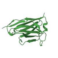 The deposited structure of PDB entry 4v1d contains 1 copy of CATH domain 2.60.40.10 (Immunoglobulin-like) in SINGLE CHAIN ANTIBODY FRAGMENT RU1, HEAVY CHAIN. Showing 1 copy in chain D.