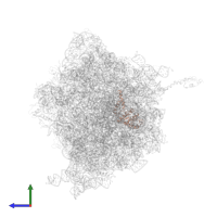 Small ribosomal subunit protein uS2 in PDB entry 4v4q, assembly 1, side view.