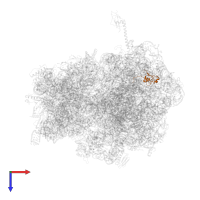 Large ribosomal subunit protein uL15 in PDB entry 4v4r, assembly 1, top view.