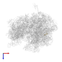 Large ribosomal subunit protein bL32 in PDB entry 4v4z, assembly 1, top view.