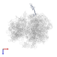 Large ribosomal subunit protein bL9 in PDB entry 4v50, assembly 2, top view.