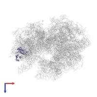 Small ribosomal subunit protein uS3 in PDB entry 4v5n, assembly 1, top view.