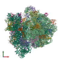 PDB entry 4v6l coloured by chain, front view.