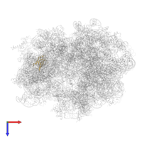 Small ribosomal subunit protein bS16 in PDB entry 4v6l, assembly 1, top view.