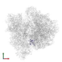 Large ribosomal subunit protein uL14 in PDB entry 4v6l, assembly 1, front view.