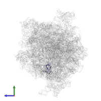 Large ribosomal subunit protein uL14 in PDB entry 4v6l, assembly 1, side view.
