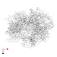 50S ribosomal protein L36 in PDB entry 4v6l, assembly 1, top view.