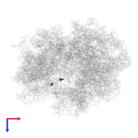 Modified residue 3AU in PDB entry 4v6l, assembly 1, top view.
