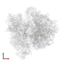 Modified residue CH in PDB entry 4v6l, assembly 1, front view.