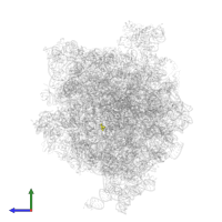 Modified residue CH in PDB entry 4v6l, assembly 1, side view.