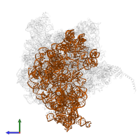 16S ribosomal RNA in PDB entry 4v6n, assembly 1, side view.