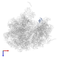 Small ribosomal subunit protein uS19 in PDB entry 4v6n, assembly 1, top view.