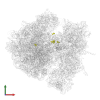 Modified residue H2U in PDB entry 4v6n, assembly 1, front view.