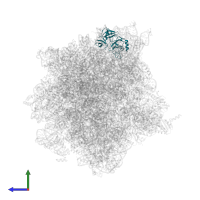 Small ribosomal subunit protein eS4 in PDB entry 4v6u, assembly 1, side view.