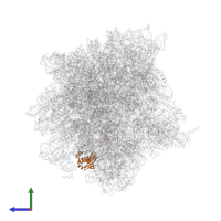 Small ribosomal subunit protein uS9 in PDB entry 4v6u, assembly 1, side view.